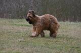 BRIARD 292
